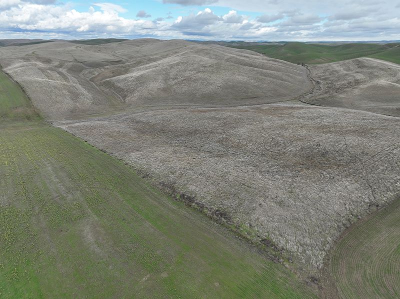 Listing Photo: Walla-Walla-County-Washington-CRP-Nonirrigated-Farm-160-Acres (2)